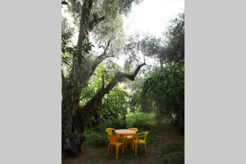 Bmv Room For 2-3 With Greenery View スヴェティ・ステファン エクステリア 写真